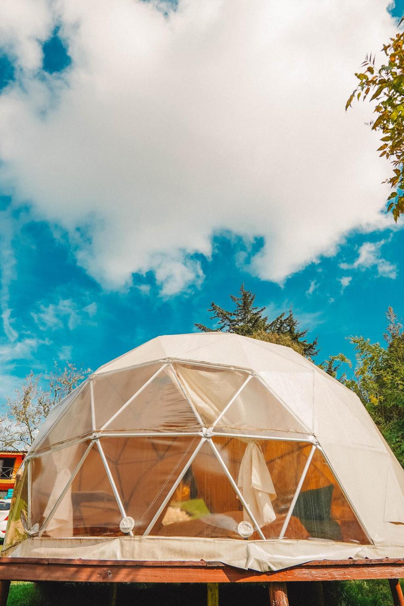 Alma De Campo Glamping - Laguna De Suesca Zewnętrze zdjęcie